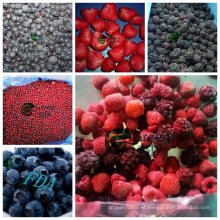New Crop IQF Frozen Mixed Berries in High Quality